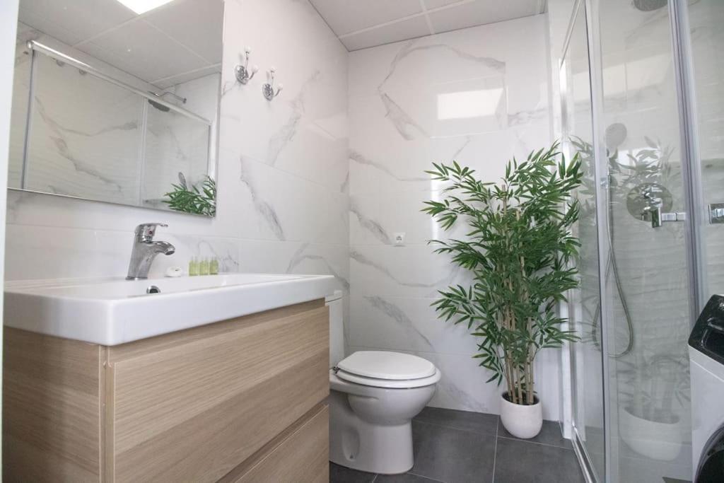 Trinidad Apartment Málaga Kültér fotó