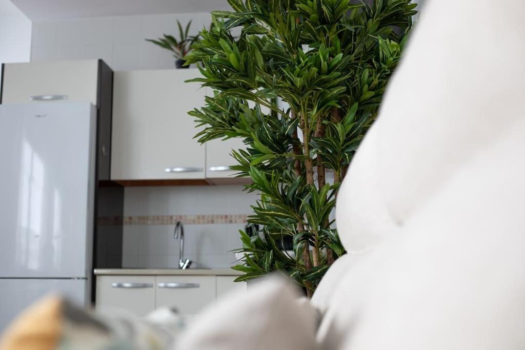 Trinidad Apartment Málaga Kültér fotó