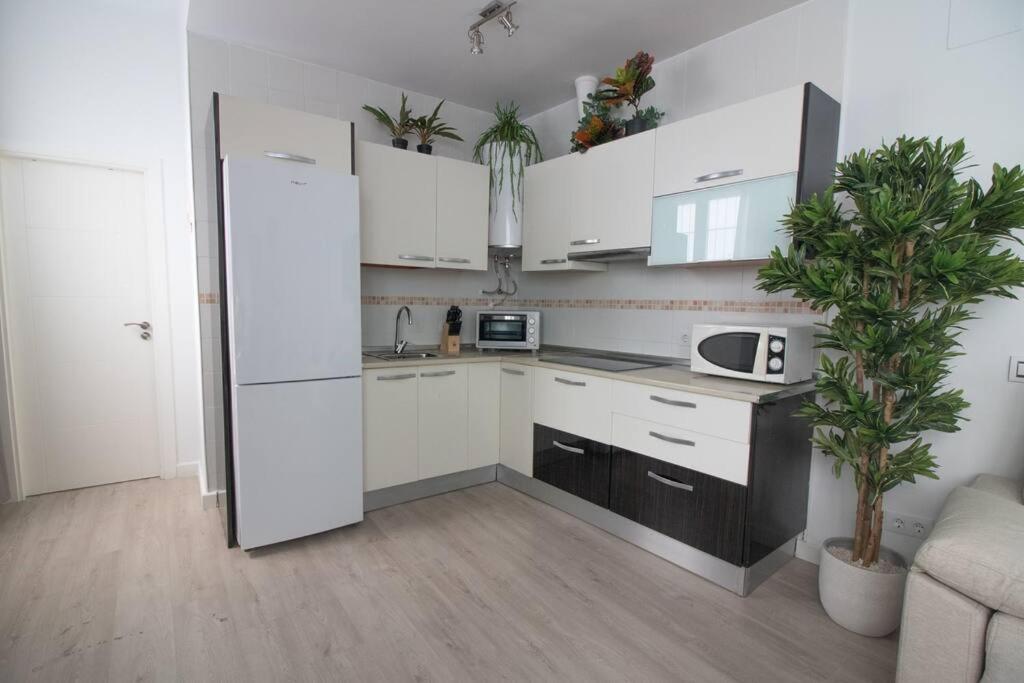 Trinidad Apartment Málaga Kültér fotó